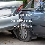 Consultar Siniestros por Placa Gratis