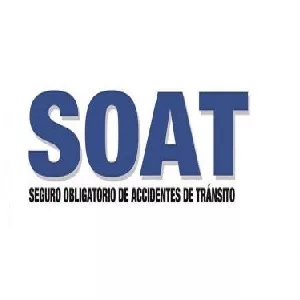 Consulta y Descarga SOAT por Placa en 2026: Guía Rápida