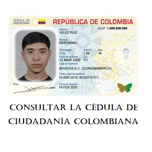 Consultar Cédula de Ciudadanía Colombiana: Cómo saber si ya Llegó